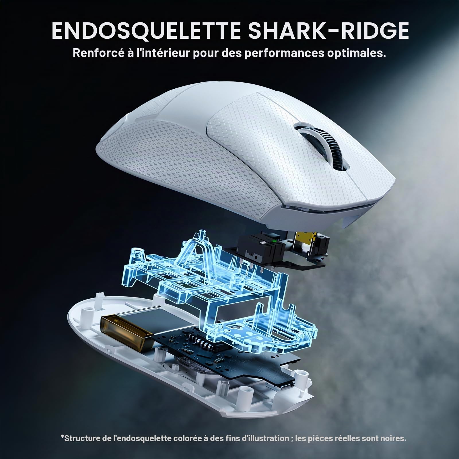 ATTACK SHARK V8 Souris Gaming sans Fil 8000Hz, Puce Nordic 54L15, Capteur PAW3950MAX, 59g Superlight, 42000DPI, 20000FPS, Ergonomique, Revêtement Ice, Bluetooth / 2,4GHz / Filaire, PC/Win, Blanc