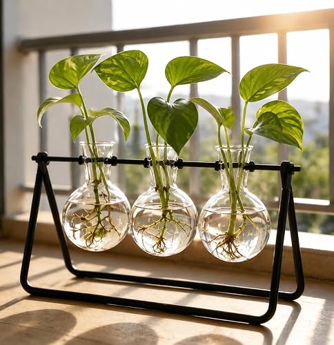Plant Terrarium with Metal Stand, 3 Bulb Glass Vase, Minimalist Plant Stand | Propagation Stations For Hydroponic Plant, Tabletop Indoor Room Office Home Desk Decor Gardening Gifts For Women, Plant Lover
