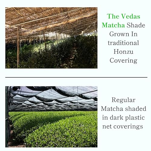 Miniatura 2 de The Vedas Matcha  Matcha de grado ceremonial prémium - Cosecha de Kagoshima - Auténtico polvo de té verde japonés - Primera calidad ceremonial de