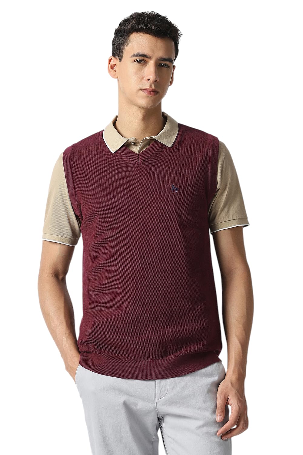 van heusen Men Sweater-picture-43