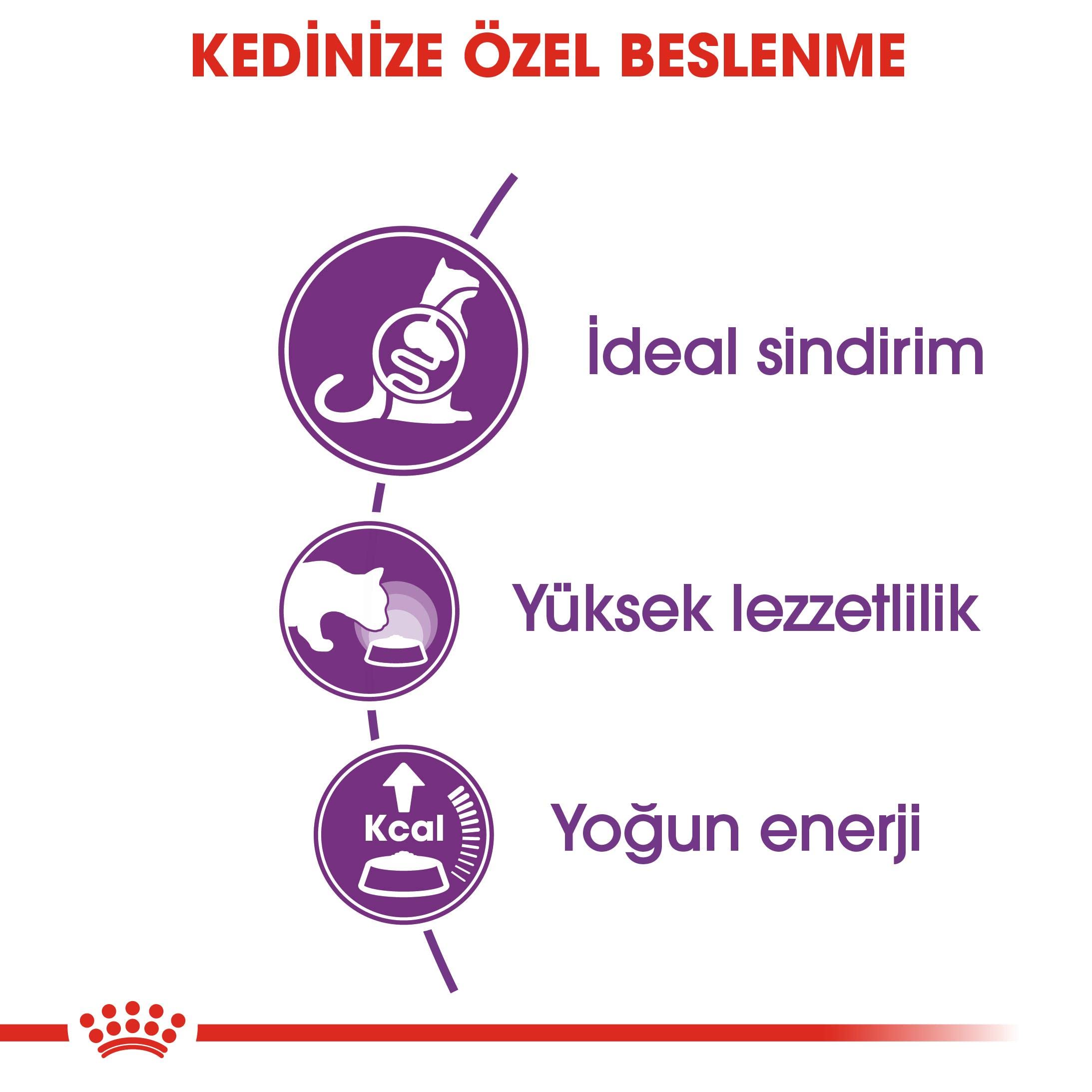 ROYAL CANIN PIENSO FHN SENSIBLE 33 (4 KG)