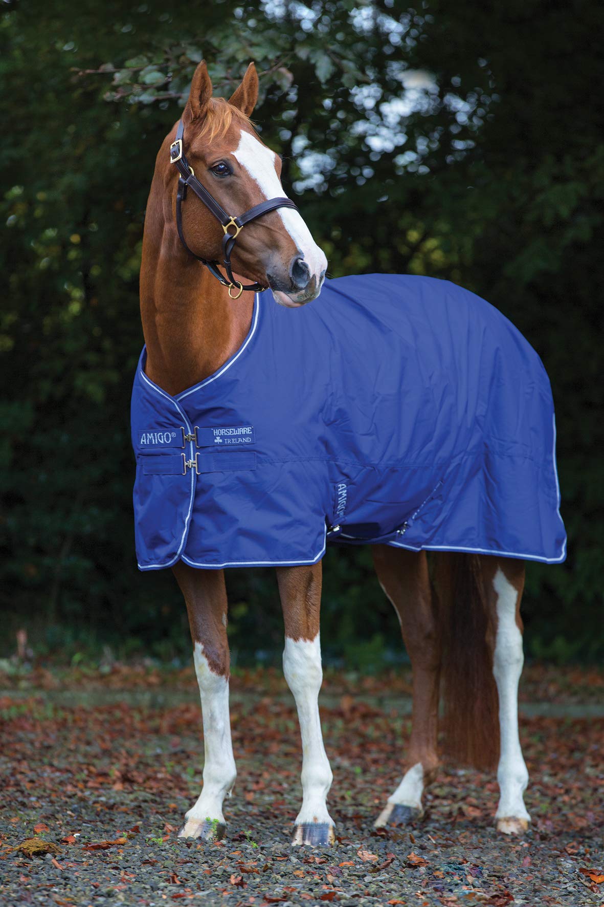 Couverture D'été Pour Cheval Amigo Hero 6 Lite 0g - Imperméable, Respirante, Légère