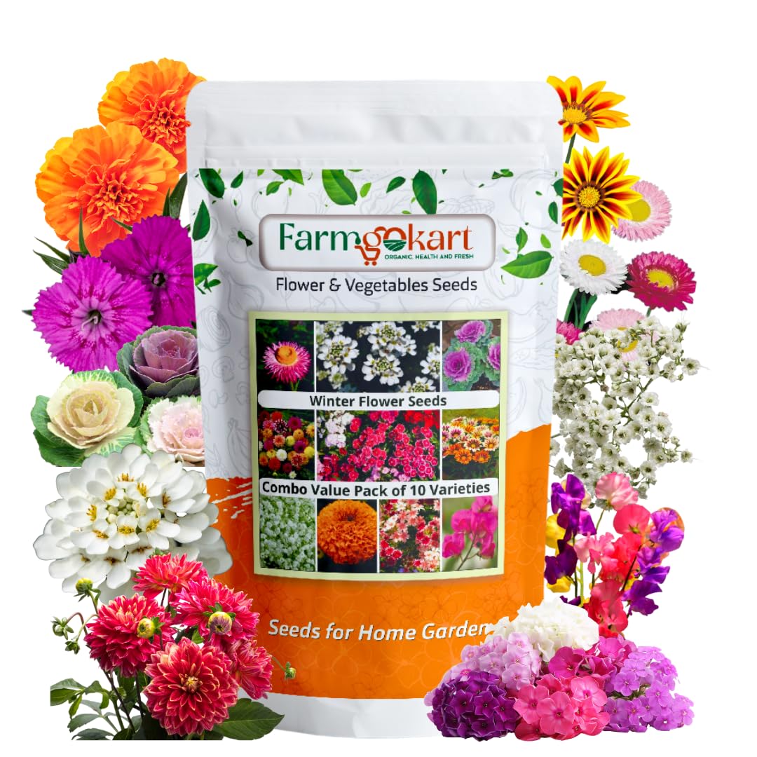 Winter Season Combo Pack of 10 Varieties Flower Seeds Packets in one | Appx 1325 Seeds | (B0DCBSFD1M) Amazon Price History, Amazon Price Tracker