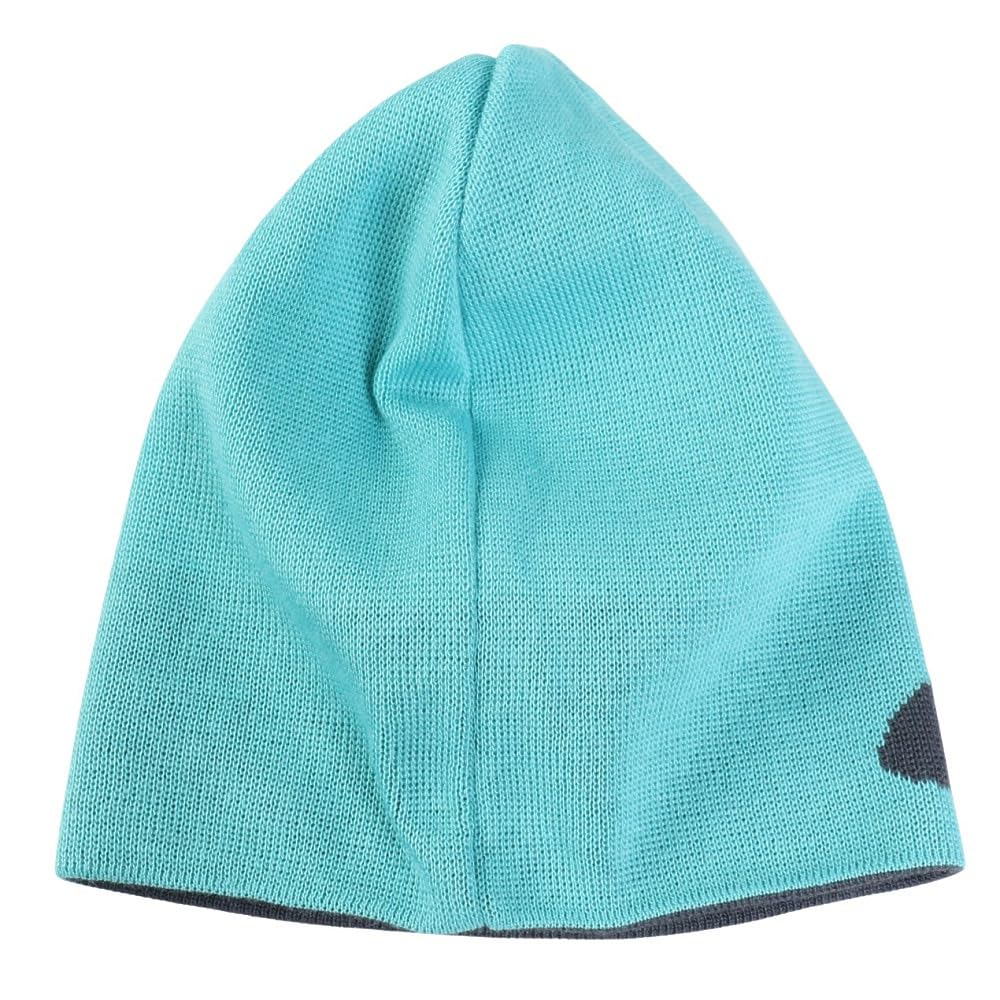 Oakley Men's Beanie Ellipse, Swimming Pool Blue : Amazon.ca