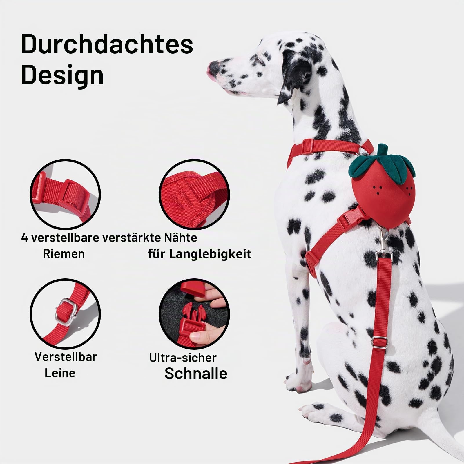 VETRESKA Set aus Geschirr und Leine für Hunde Strawberry, Geschirr ohne Zug für Spaziergänge und Dressur, verstellbar, leicht zu kontrollieren, gepolstert und weich, mit Rucksack (XXS)