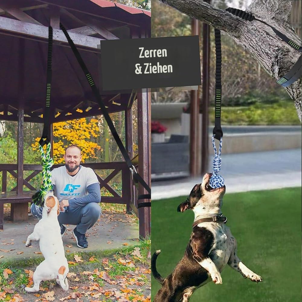 Bungee-Ziehspielzeug für Hunde, Outdoor Hundespielzeug zum Aufhängen mit 2 Kauseilen, Interaktives Tau Spielzeug Hunde Seil für Training Ziehen