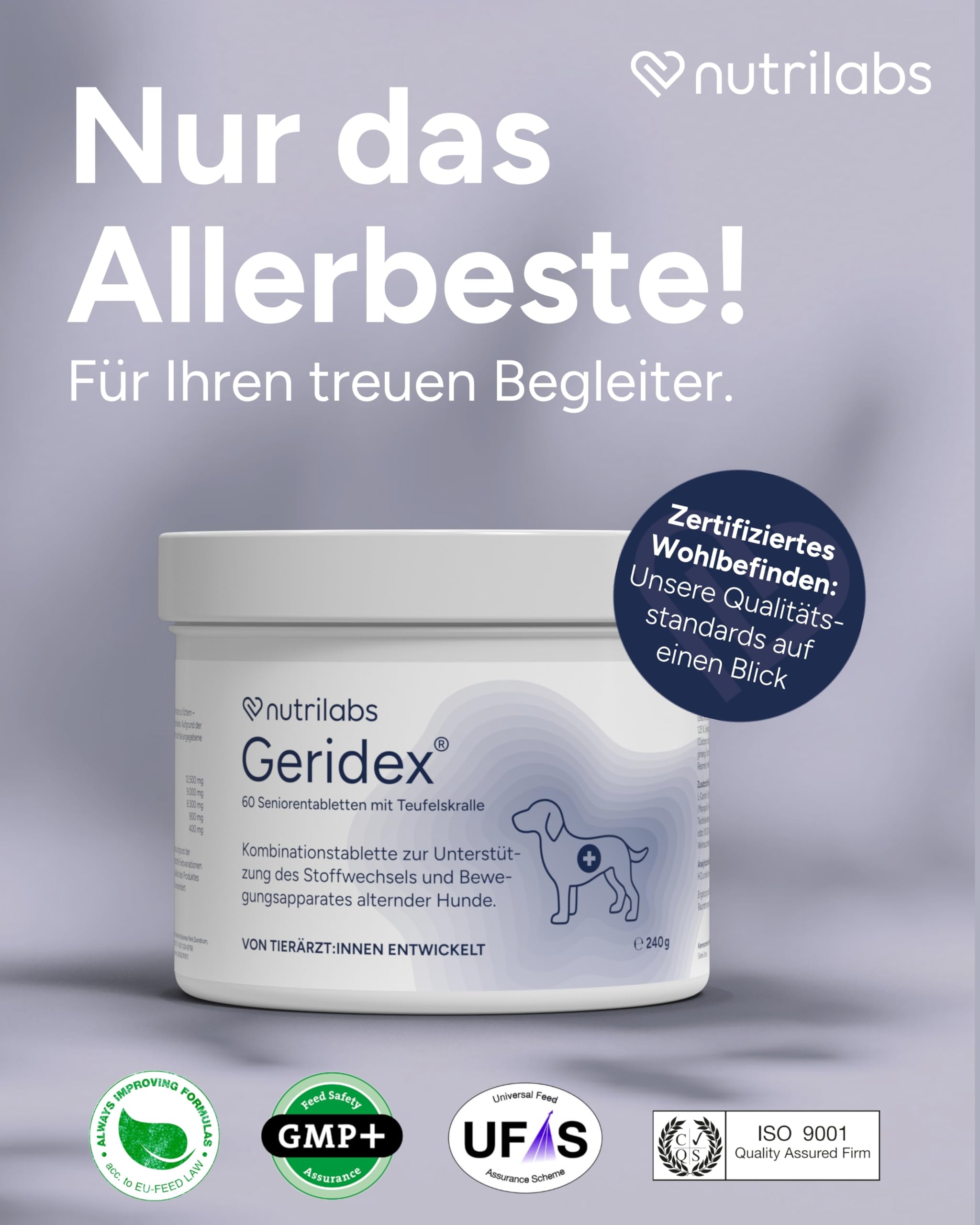 NutriLabs Geridex® Tabletten für Senioren-Hunde 60 STK. - Seniorentabletten für Hunde mit Glucosamin, Weißdorn u.v.m. - Hunde-Nahrungsergänzung - Teufelskralle-Tabletten - MSM-Hund