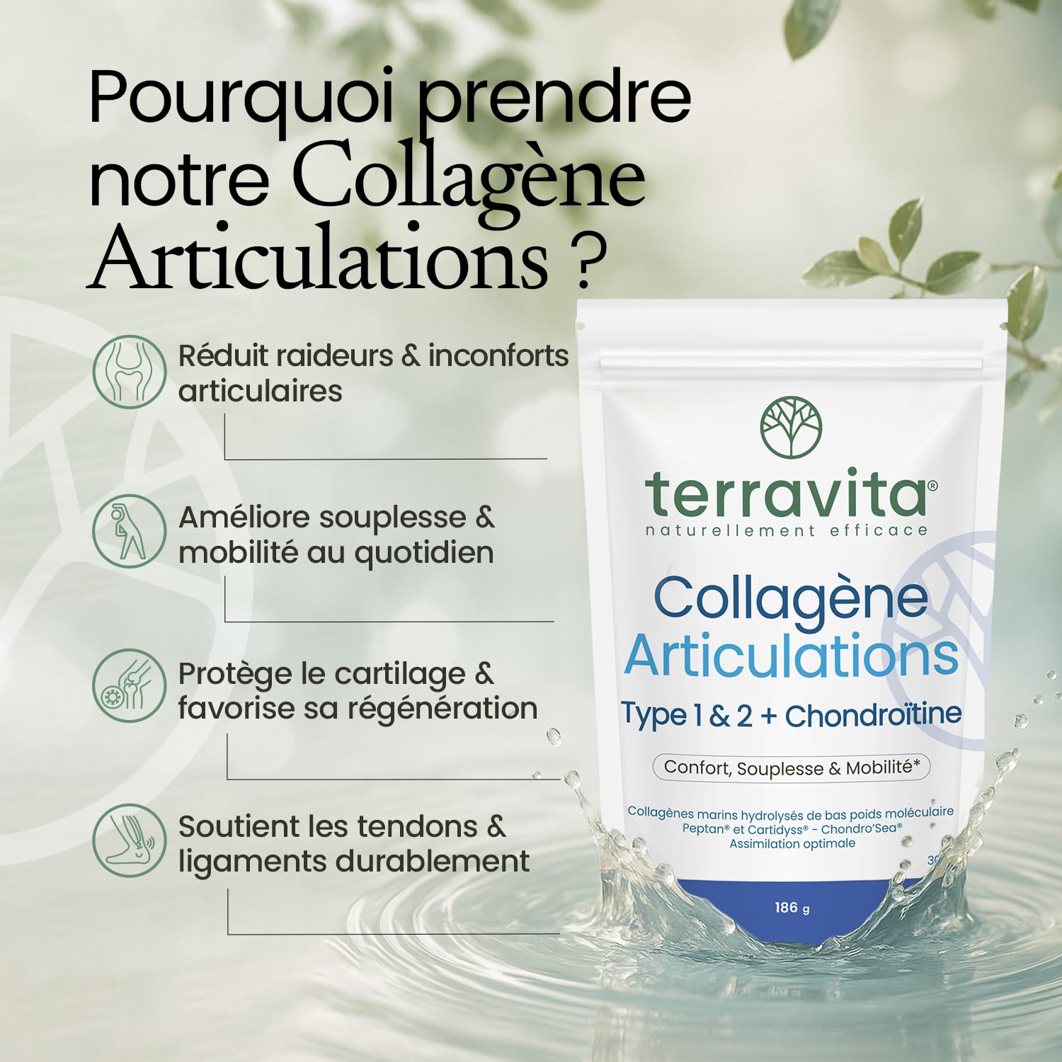 Collagène Articulations en Poudre | Peptides de Collagène Marin Peptan® & Cartidyss® Types 1 et 2 + Chondroïtine Chondro’Sea® + Vitamine C | 30 Jours de Cure | Made in France | Terravita