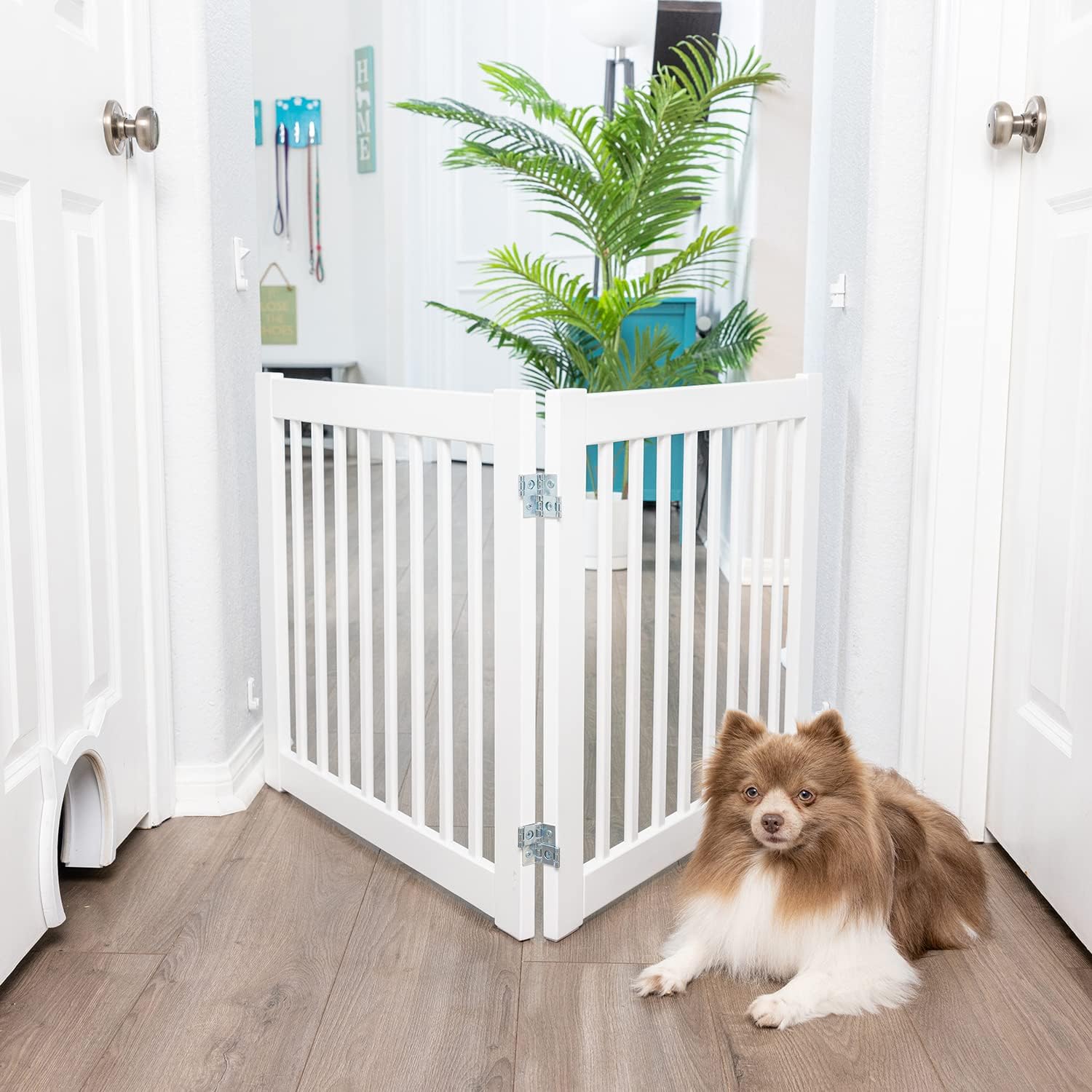 Primetime Petz 360 Pet Gate Extension,White