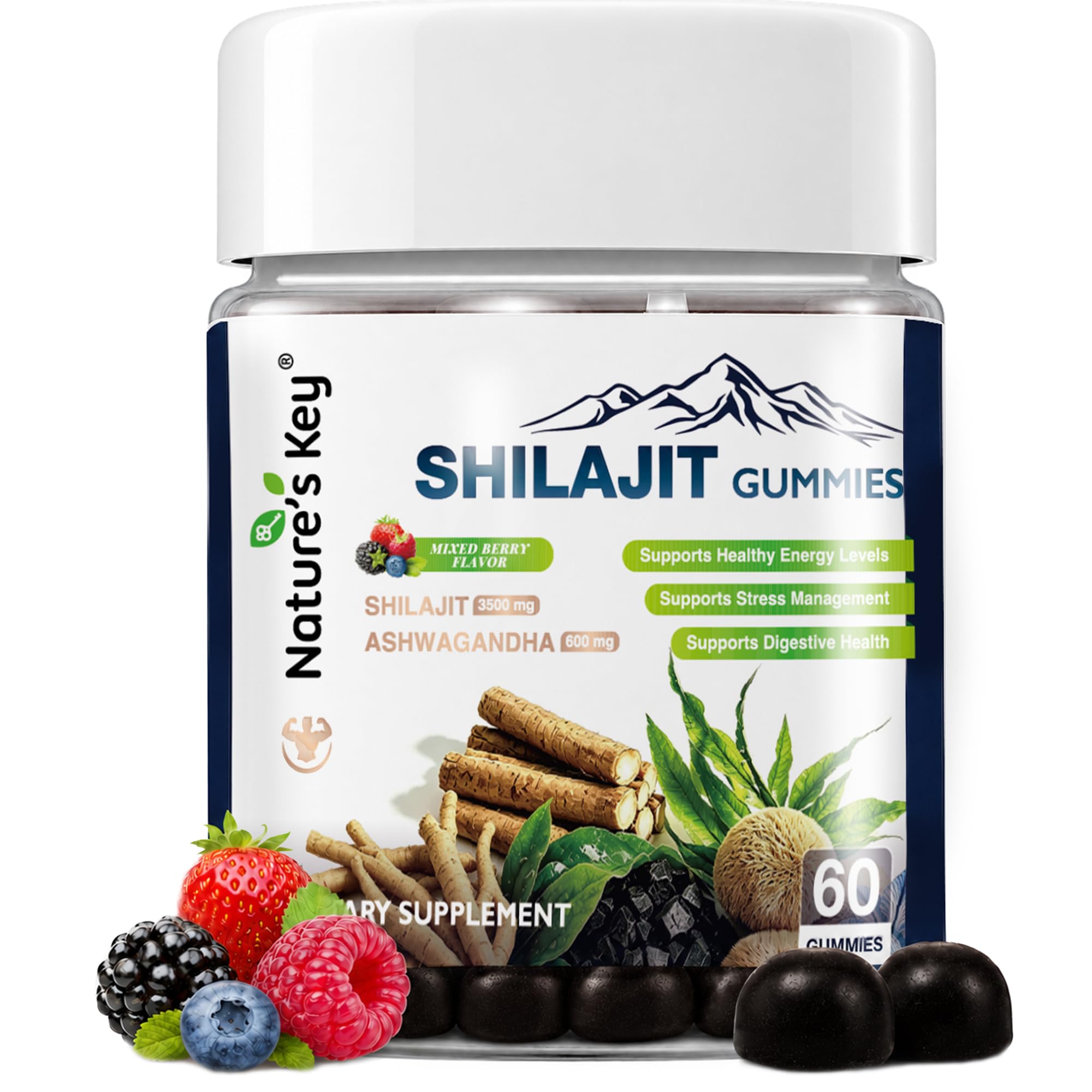 Nature's Key Shilajit Gummies for Men,3500mg Shilajit with Ashwagandha,Lions Mane Mushrooms,Sea Moss & Tongkat Ali,Energy & Immune Support for Men & Women,Mixed Berry Flavor