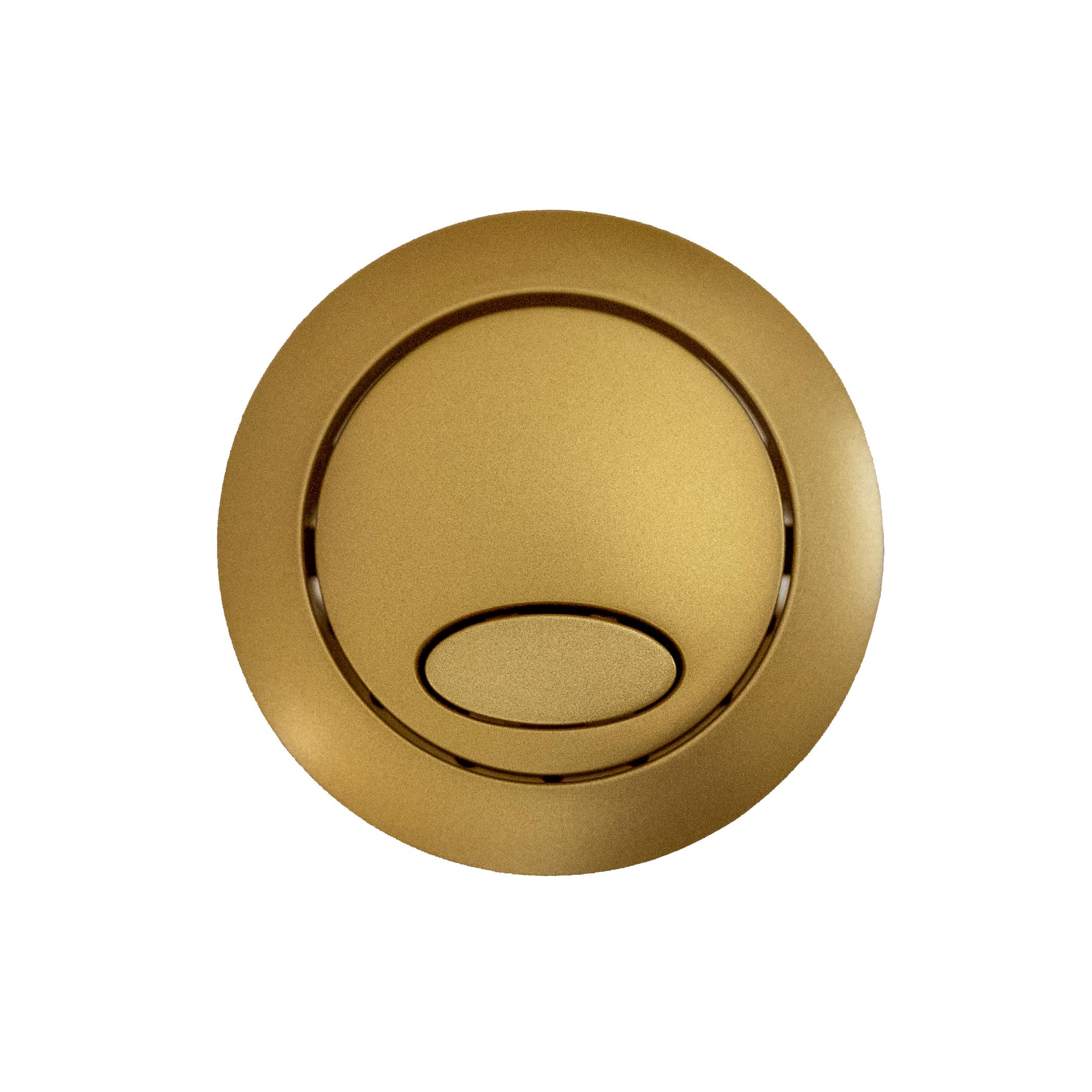 Fluidmaster Dual Flush Push Button for Cable Operated Cistern & PRO550 Brushed Brass