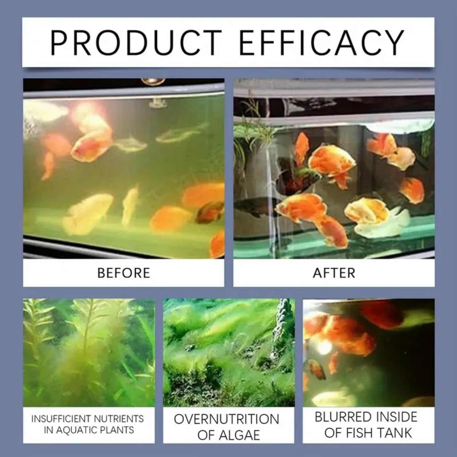 View 4