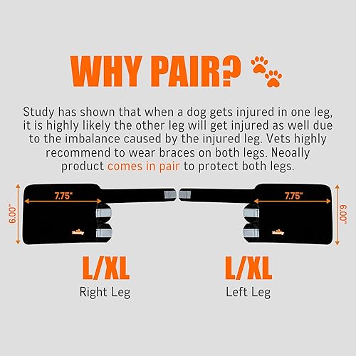 Miniatura 3 de NeoAlly - Soporte de pierna delantera para perros y gatos, soporte de pierna de perro con inserciones de resorte de metal, manga de pierna de perro