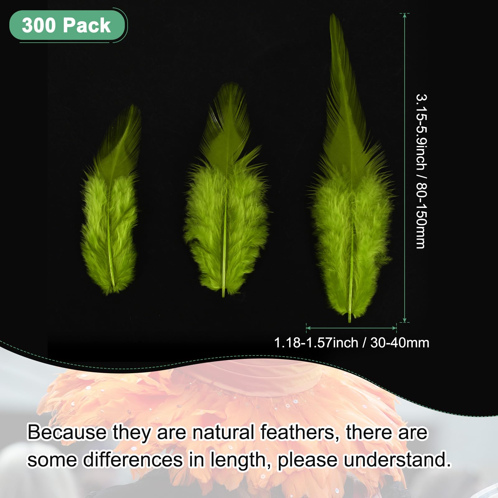 M METERXITY 300-Pack Saddle Hackle Rooster Feather - Image 3