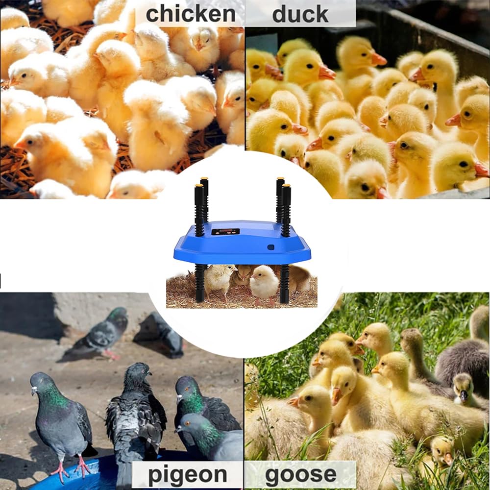 Criadora,Criadora de Pollitos,Calentador de pollos,25x 25con ángulos de inclinación de Altura Ajustable Calentadores - Bajo Consumo para la Cría de Pollitos, Patitos, Codornices y Pájaros