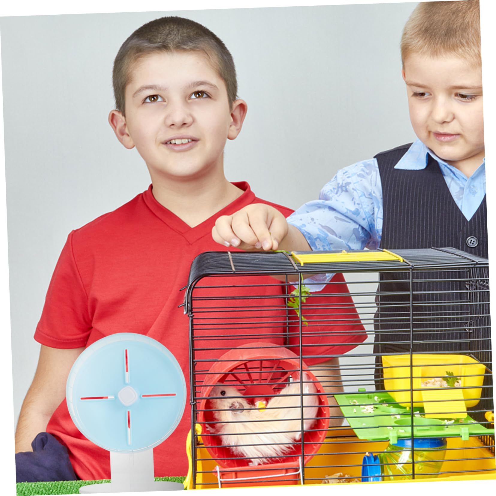 GANAZONO 1pieza Rueda De Ejercicio para Hamsters Silenciosa y Resistente con Soporte para Pequeños Animales