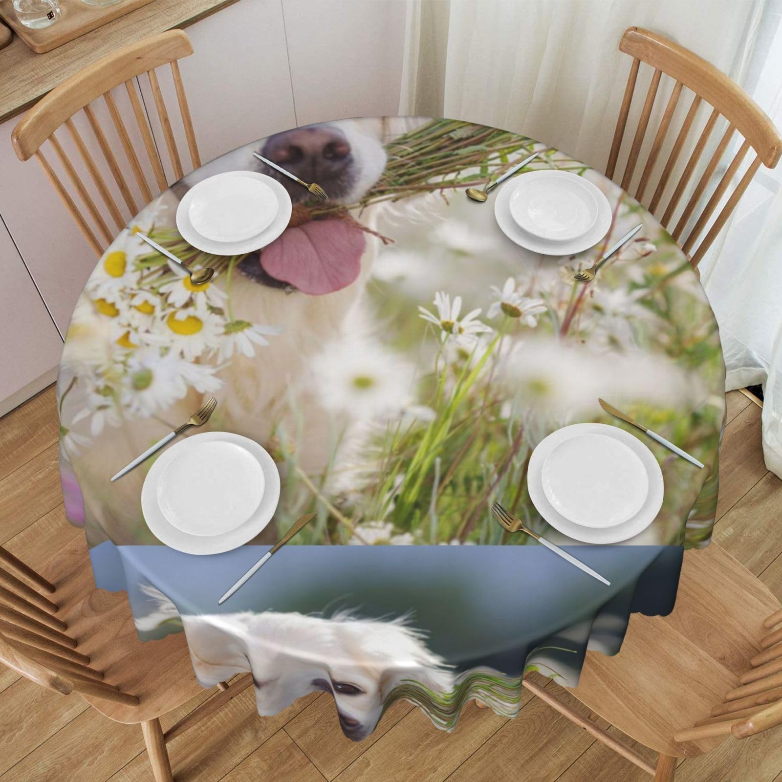 Nappe ronde anti-pli Golden Retriever contre les taches de repas