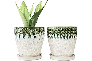 Modern Glazed Ceramic Planter Pots for Indoor & Outdoor Plants