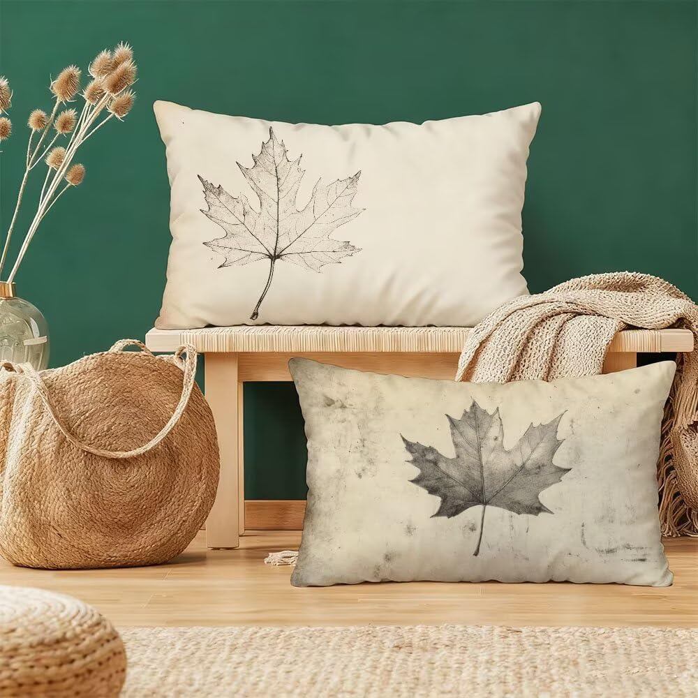 Taie d'oreiller 40x80 cm motif velours noir : le cadeau déco idéal