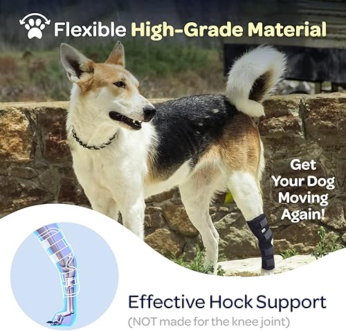 Miniatura 5 de Labra Envoltura de compresión para la articulación de la pierna trasera del perro, soporte de apoyo para piernas traseras débiles, desgarro del