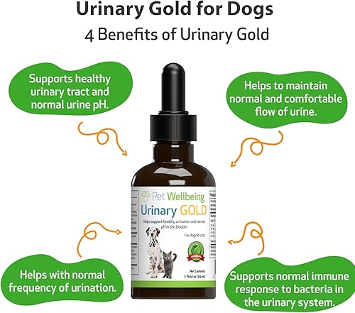 Miniatura 4 de Pet Wellbeing Oro urinario para perros – Formulado por veterinarios – Soporte para el tracto urinario con múltiples hierbas – Salud de la vejiga y