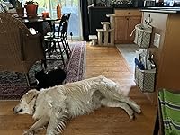 Review Image by Linda/live free Linda/live free