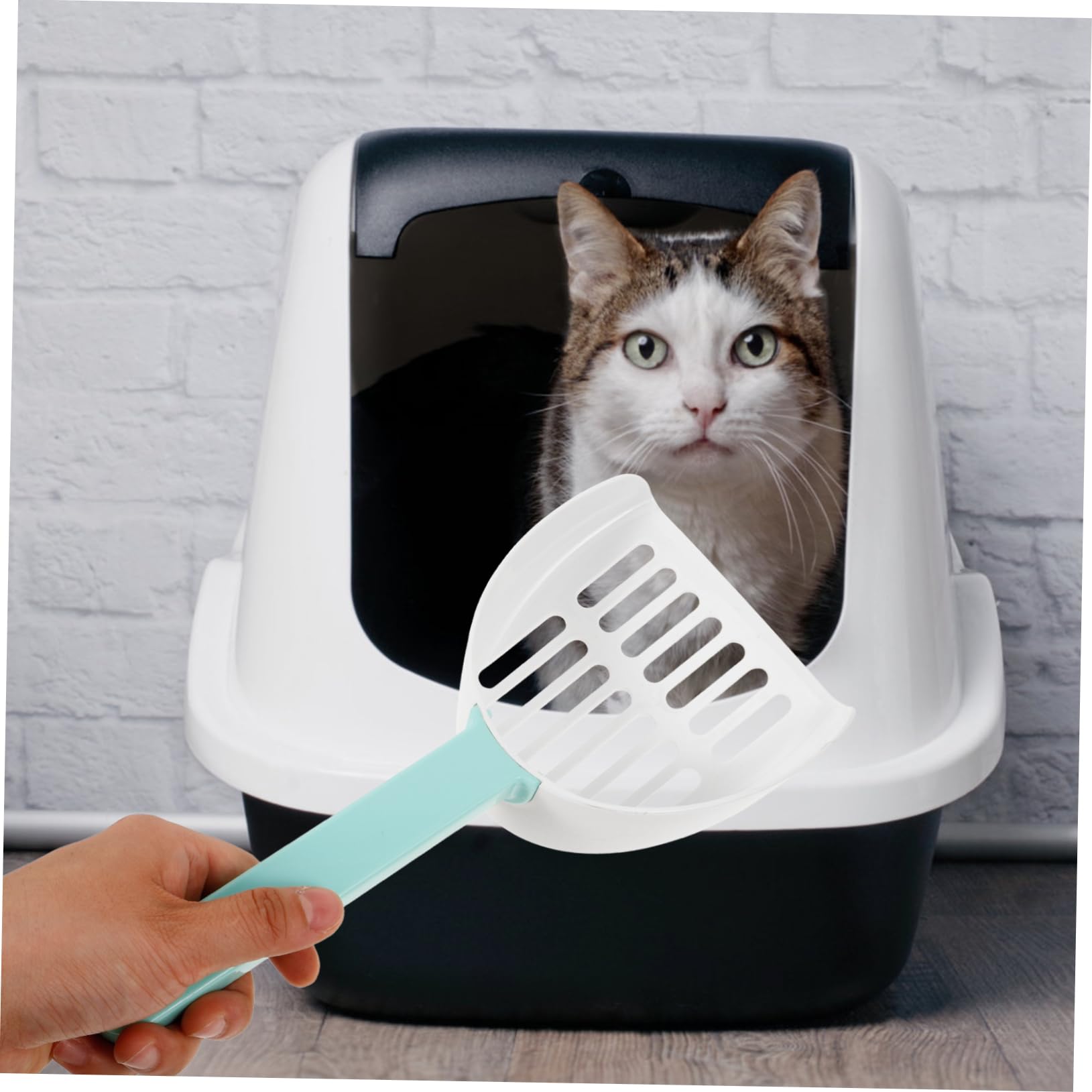 Mipcase 5 Pièces Pelle À pour Chat Manche Long Pelle À Chats Pelles Profondes Filtre À pour Animaux De Compagnie Pelle À pour Animaux De Compagnie Pelle De