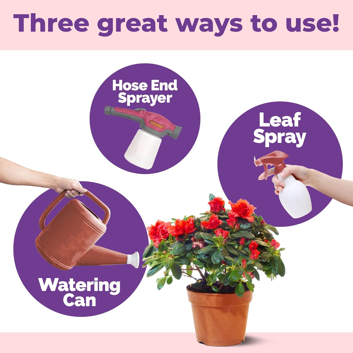 Flowering Plant Food – Liquid Plant Food for More Blooms, Vibrant Color & Stronger Bud Development, 32 oz