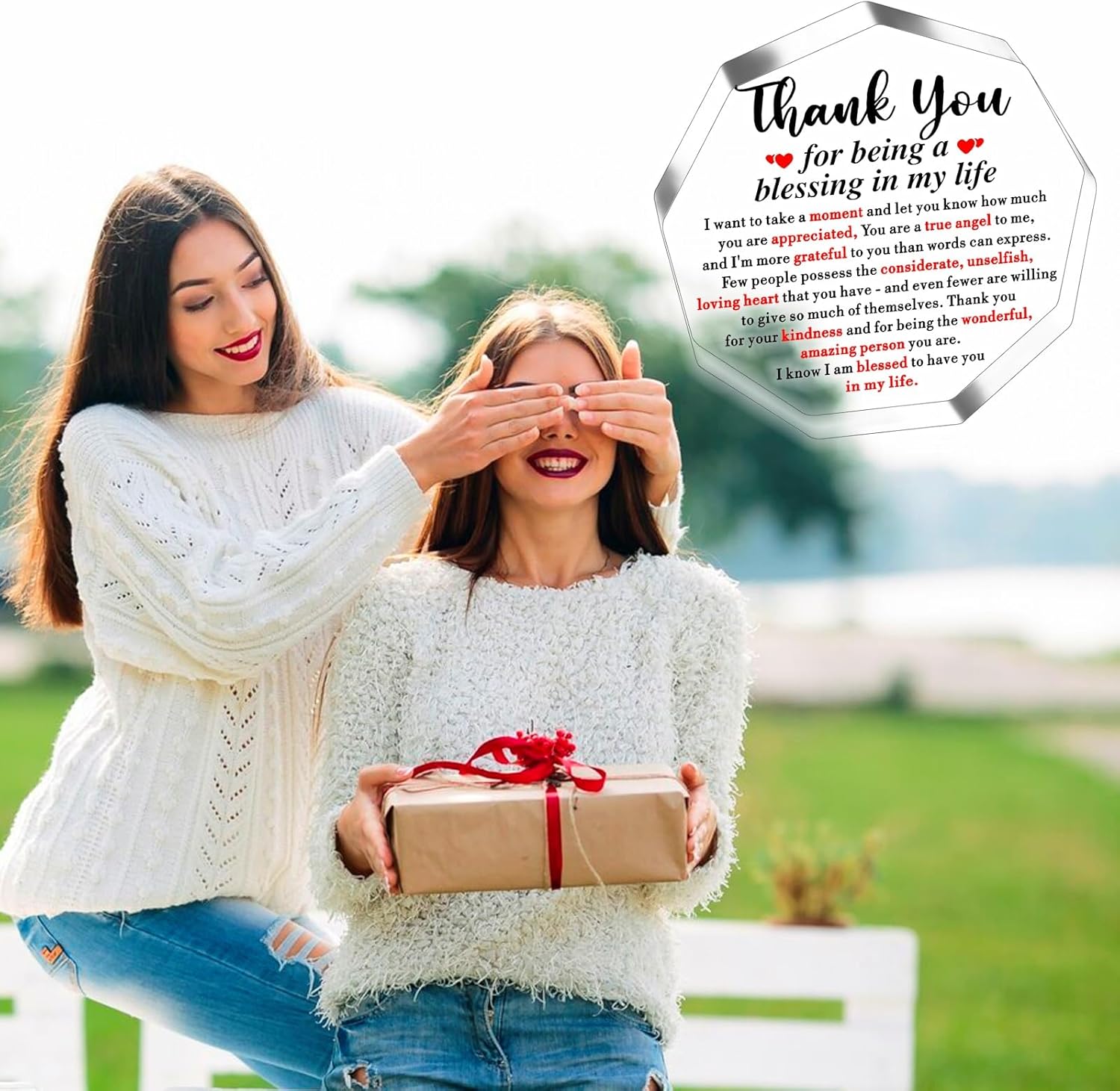 Thank You Gifts for Women Men Appreciation Gifts for Friends Coworkers Mentor Gifts for Women Acrylic Plaque Home Office Decor Family Friend Gift Christmas Thanksgiving Day Birthday - Image 6