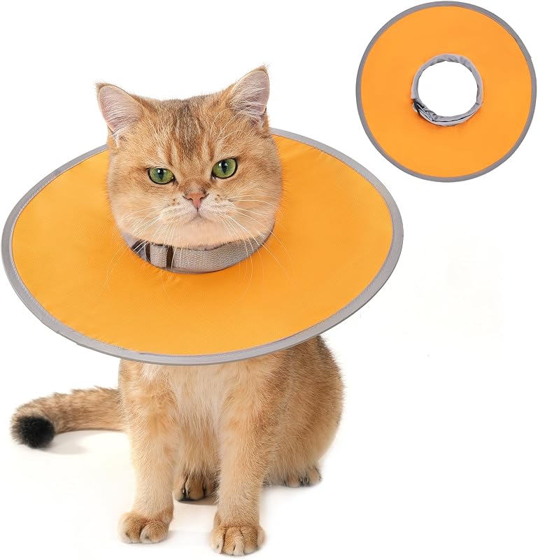 Colar Cone de Recuperação Dobrável e Impermeável para Gatos Avont – Tamanho M, Orange