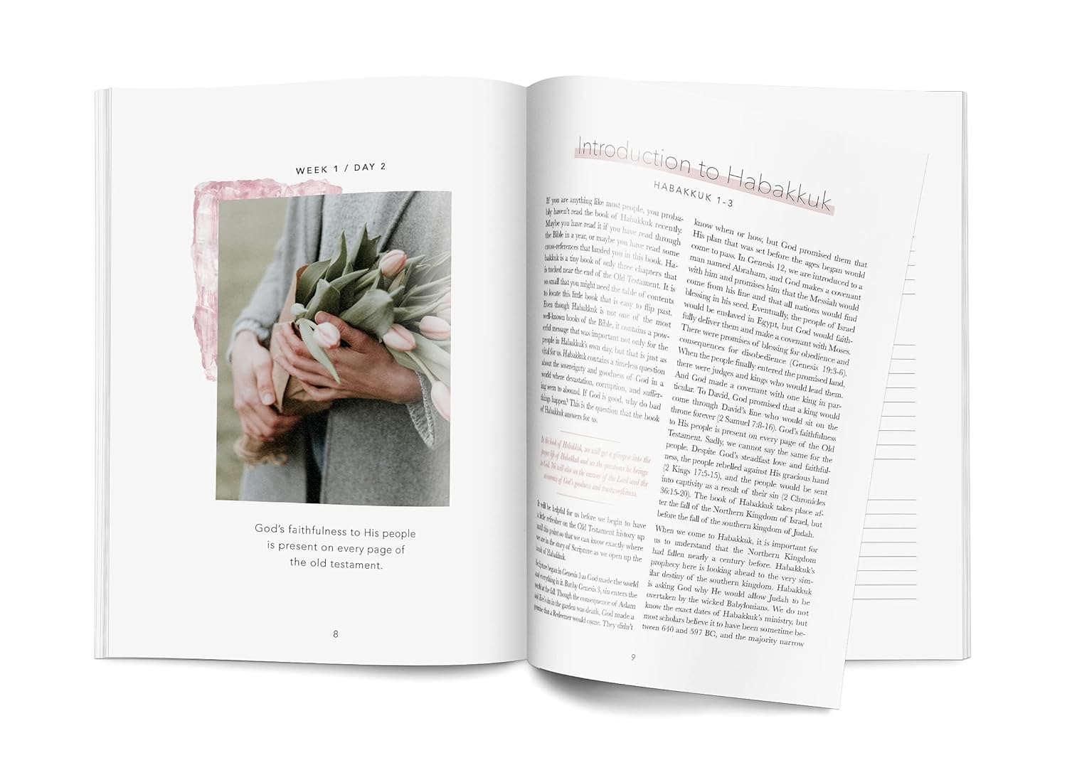 Even If: A Study of Habukkuk - Image 2