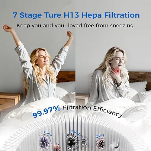 Miniatura 3 de Purificador de aire