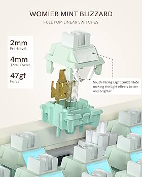 Amazon.com: Womier SK65 Wireless Mechanical Gaming Keyboard