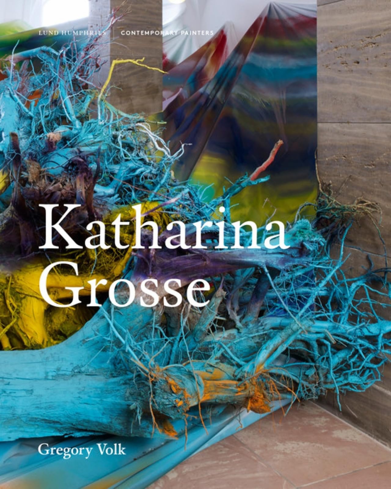 Katharina Grosse (Contemporary Painters) (Contemporary Painters Series)