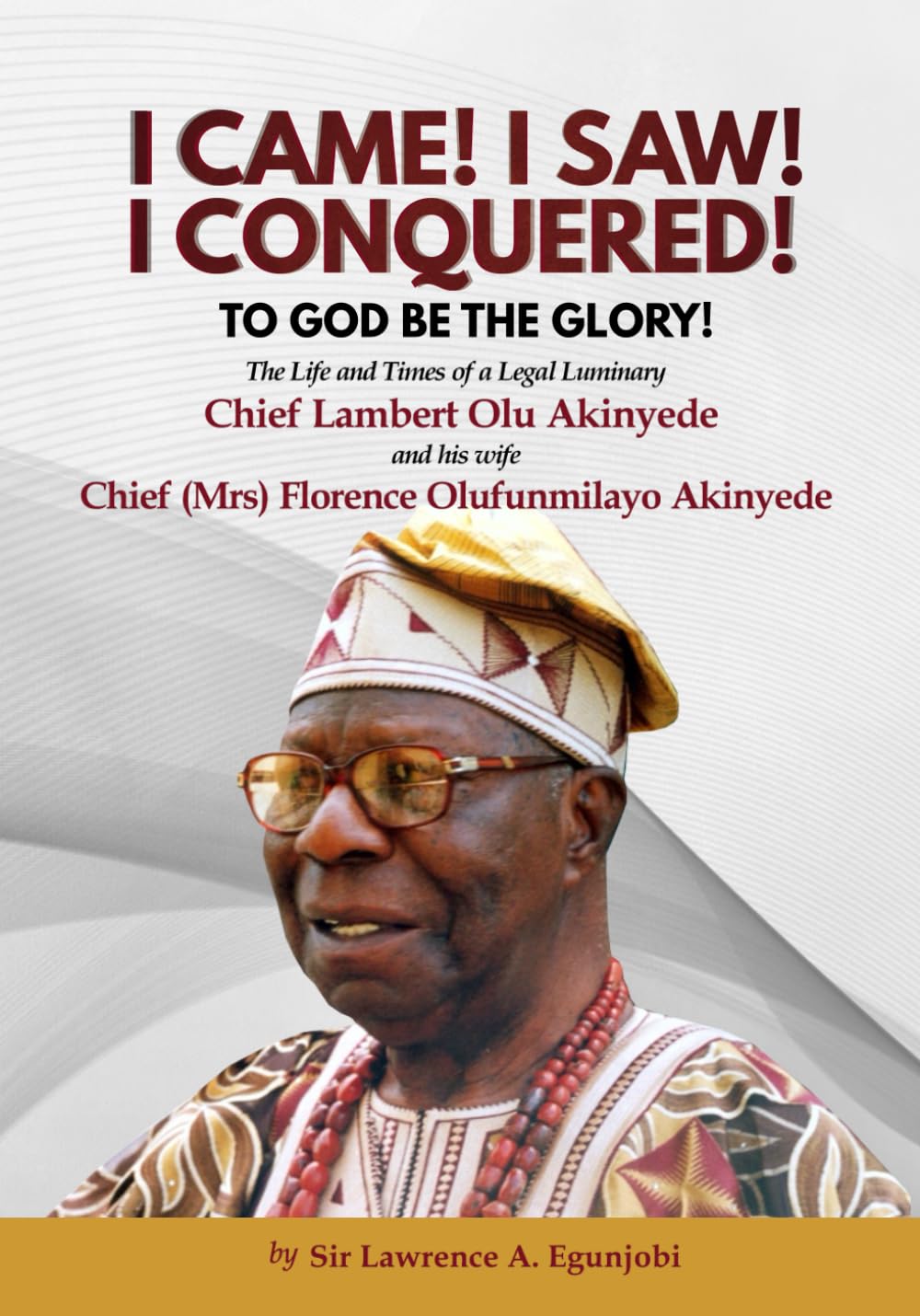 I CAME! I SAW! I CONQUERED!: The Life and Times of a Legal Luminary