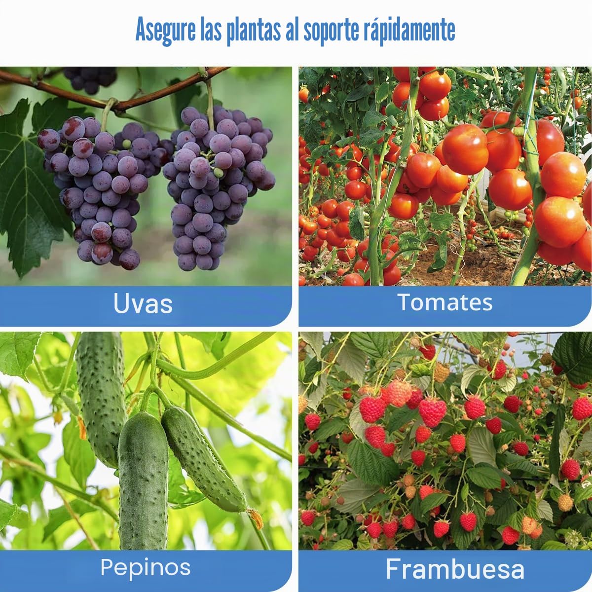 Maquina Atadora de Tomates, Herramienta de Cinta de Jardín para Viñedo Pepino UVA Fruta Flores Vegetales, Naranja