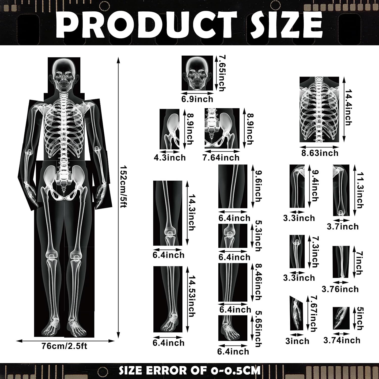 Novabright 31 Pcs Broken Human Bones x Ray Set for Kids Human X-Rays Skeleton Pretend Skeleton Pretend for Kids Body Display Play Table Educational Science Kits Black and White