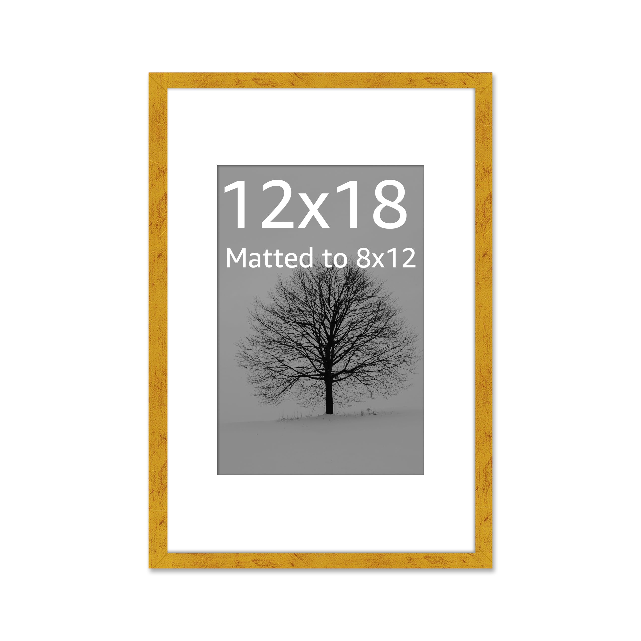 Art Street Synthetic Document Large Size Wall Photo Frame, Set of 1 Big Frames For Wall Artwork, Certificates, Picture & Photographs Home Decor (12x18 Inch, Matted To: 8x12 Inch, Gold)