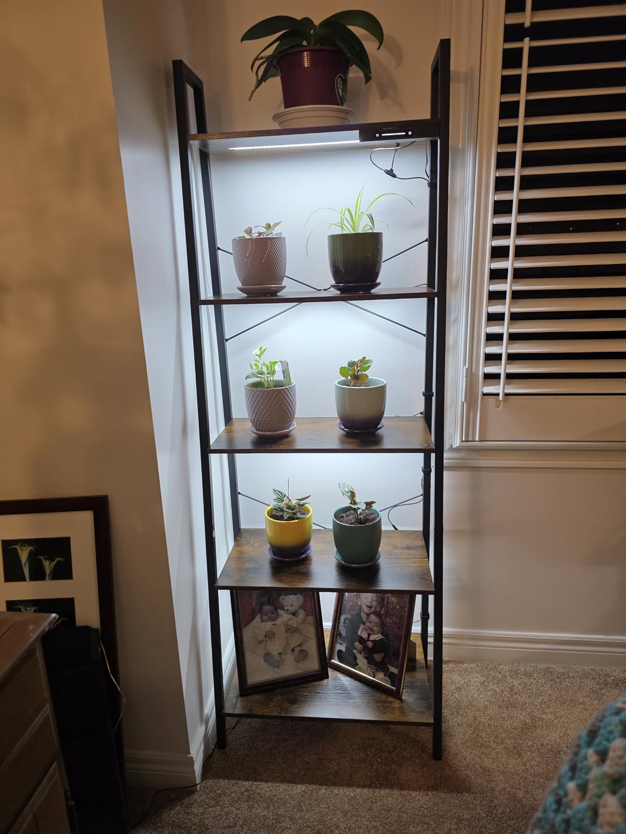 Customer photo