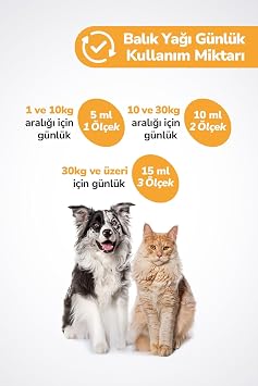 Kediler Ve Köpekler Için Balık Yağı 200ml Omega 3 ve 6 Takviyesi Tüy ve Cilt Sağlığı Destekleyici