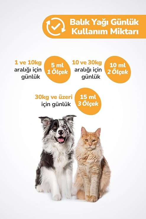 Kediler Ve Köpekler Için Balık Yağı 200ml Omega 3 ve 6 Takviyesi Tüy ve Cilt Sağlığı Destekleyici