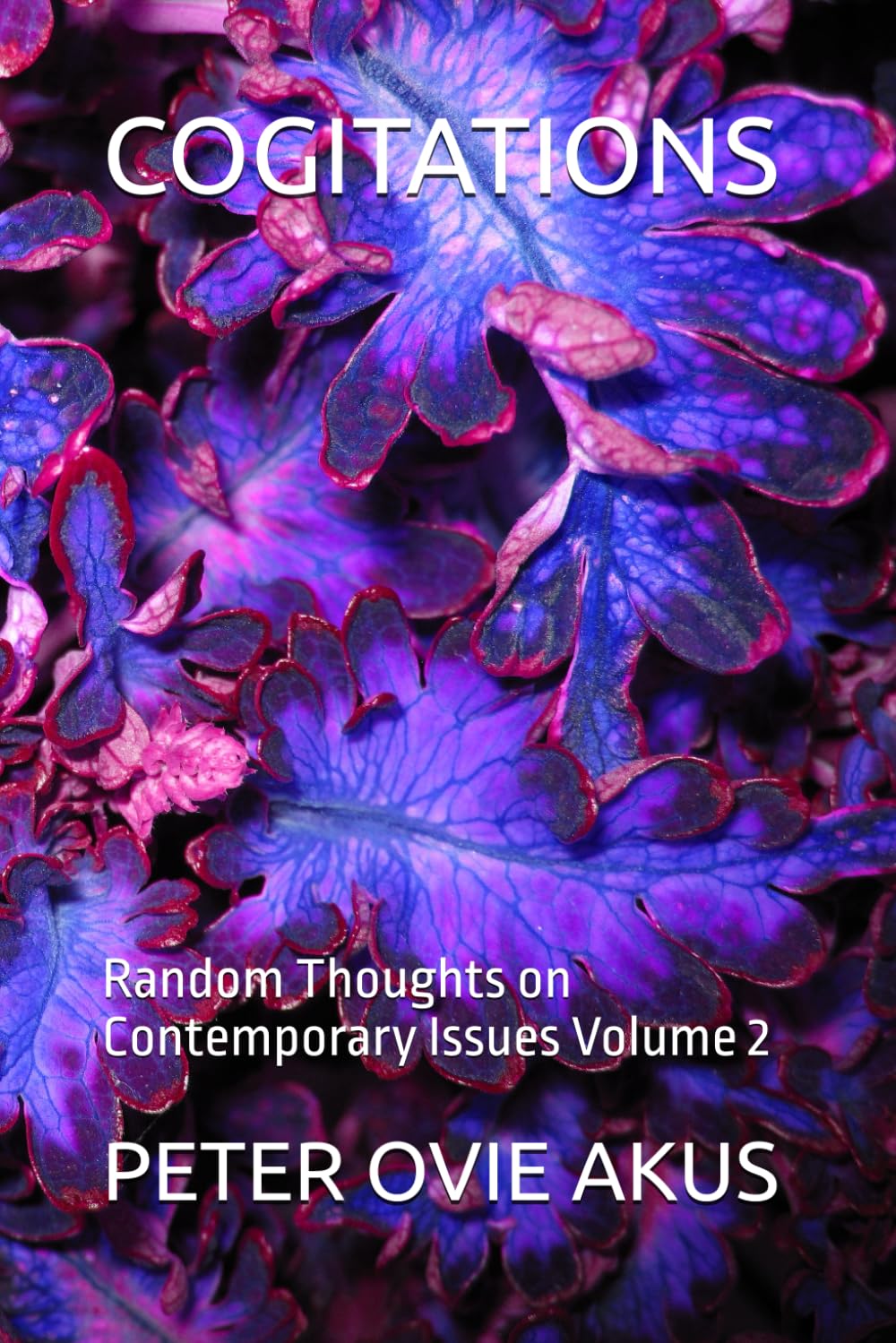 COGITATIONS: Random Thoughts on Contemporary Issues Volume 2