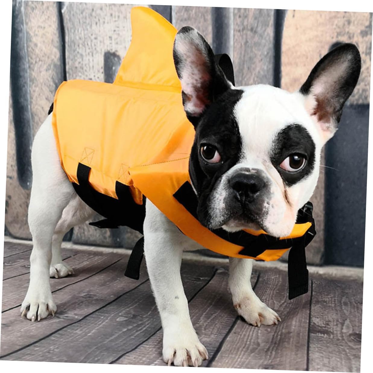ABOOFAN Dog Floatation Vest with Adjustable Life Jacket Orange L for Medium and Large Dogs Swimming Safety Apparel for Boating and Water Activities