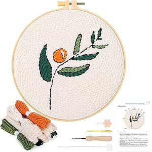 JSRQT Kit De Broderie Au Point De Croix Pour Débutants Avec