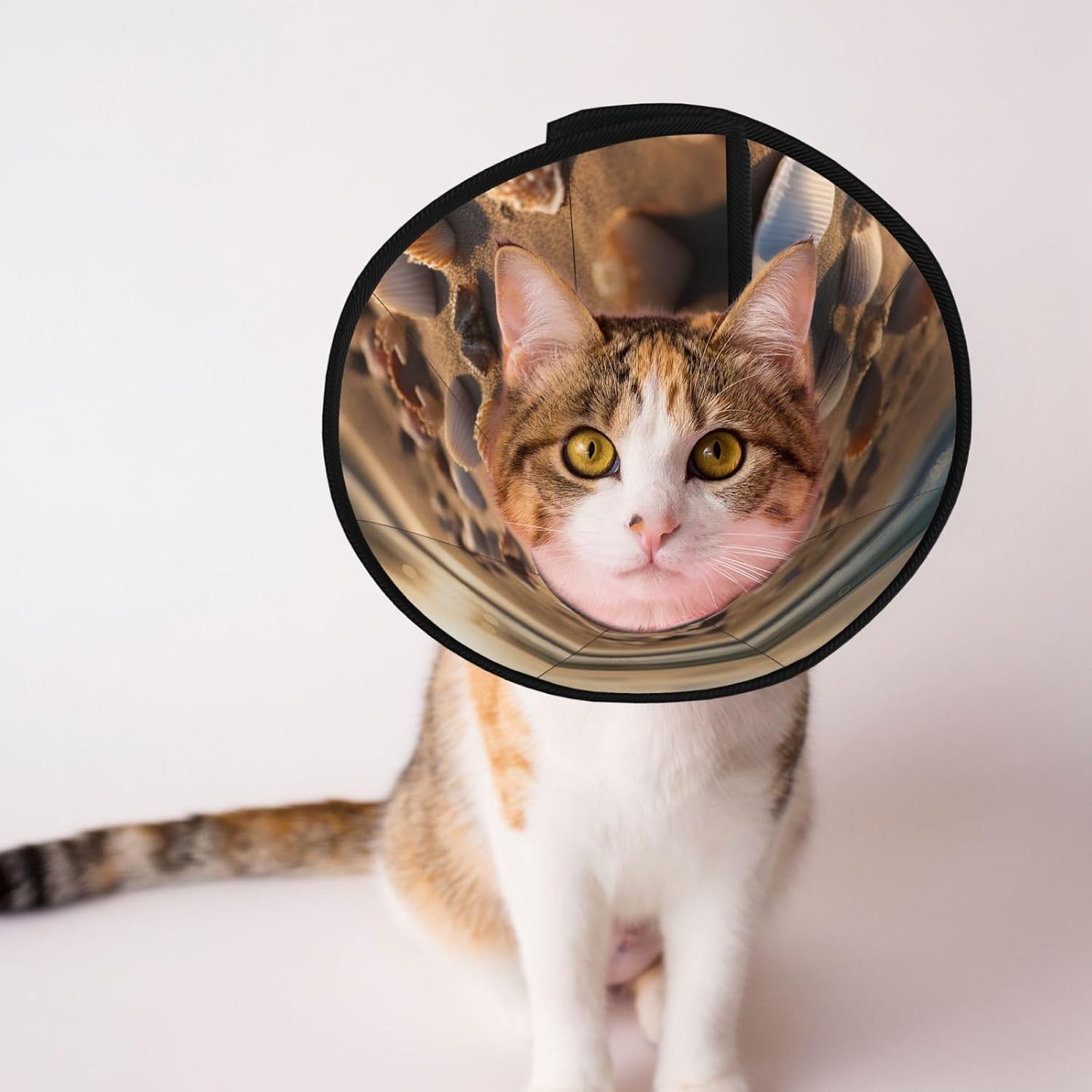 Seashell Landscape On The Beach Print Cat Cone Collar, Adjustable Elizabethan Collar, Soft Dog Recovery Collars, for Small Large Cats