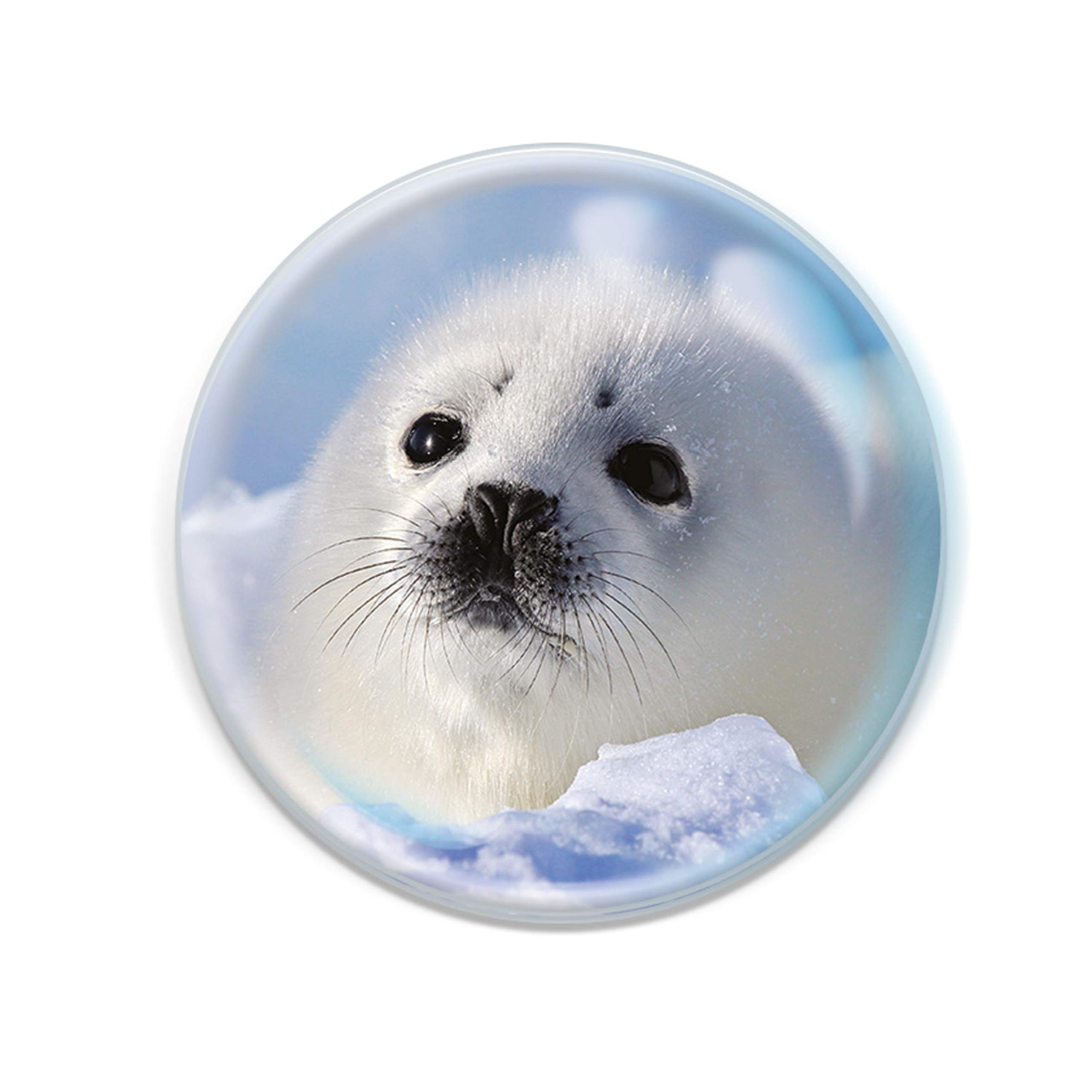 Deluxebase Magnidome Seal Fridge Magnet – Crystal Glass Dome Animal Magnets for Fridges, Decorative Strong Magnet for Kitchen Accessories, Novelty Gifts and Cute Home Decor.