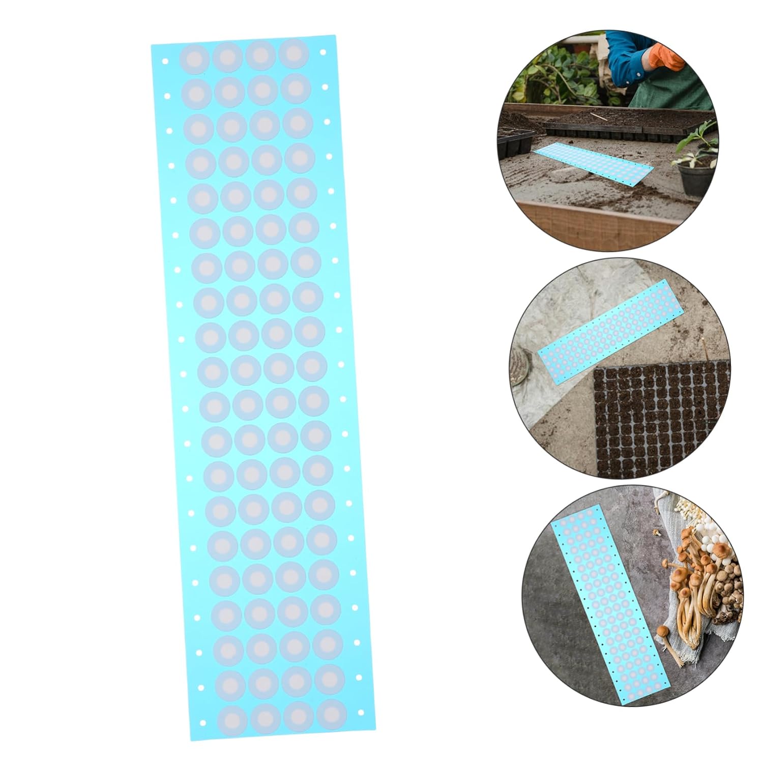Breathable Film Filter Discs 80pcs Sheet for Growth