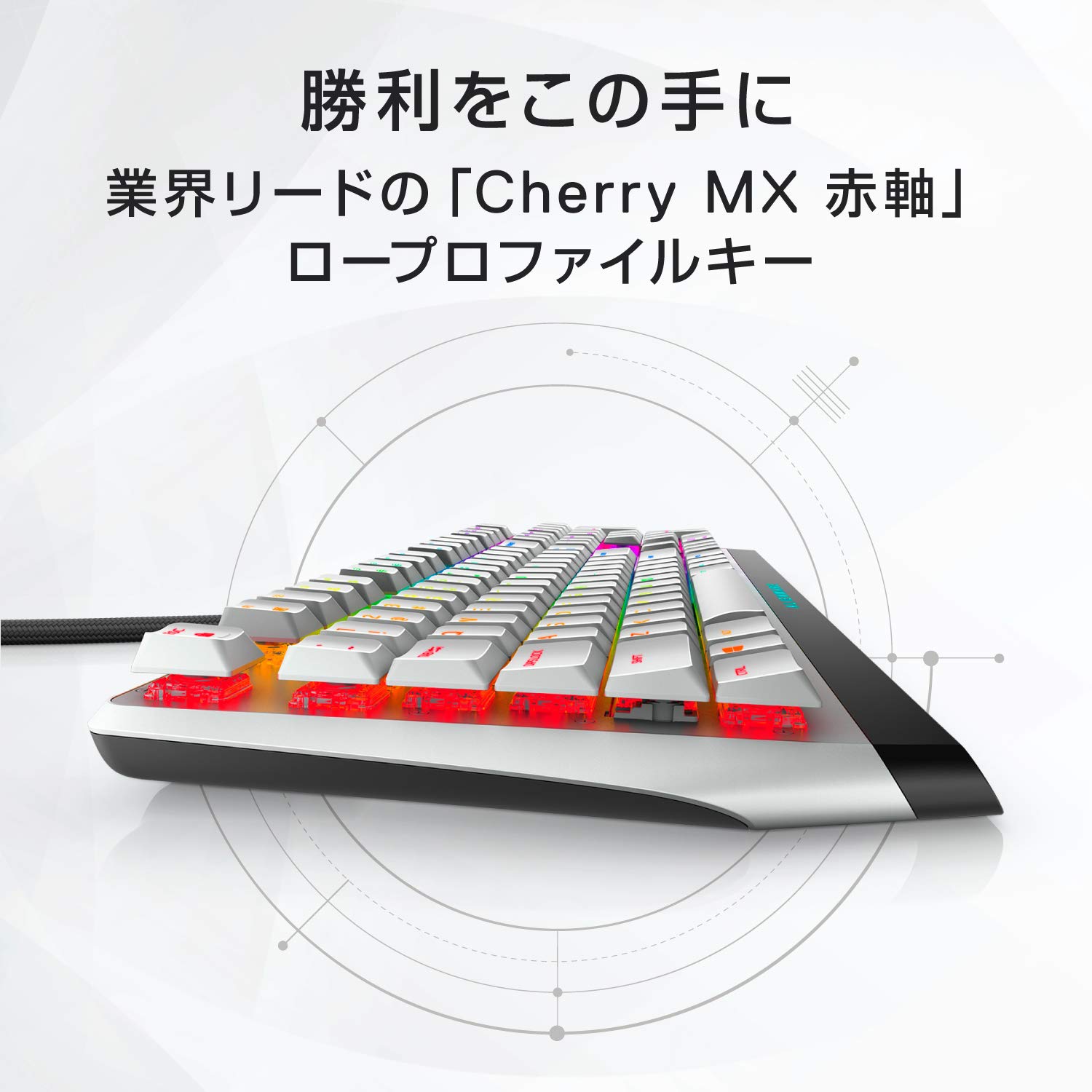 710RfEil+CL.jpg