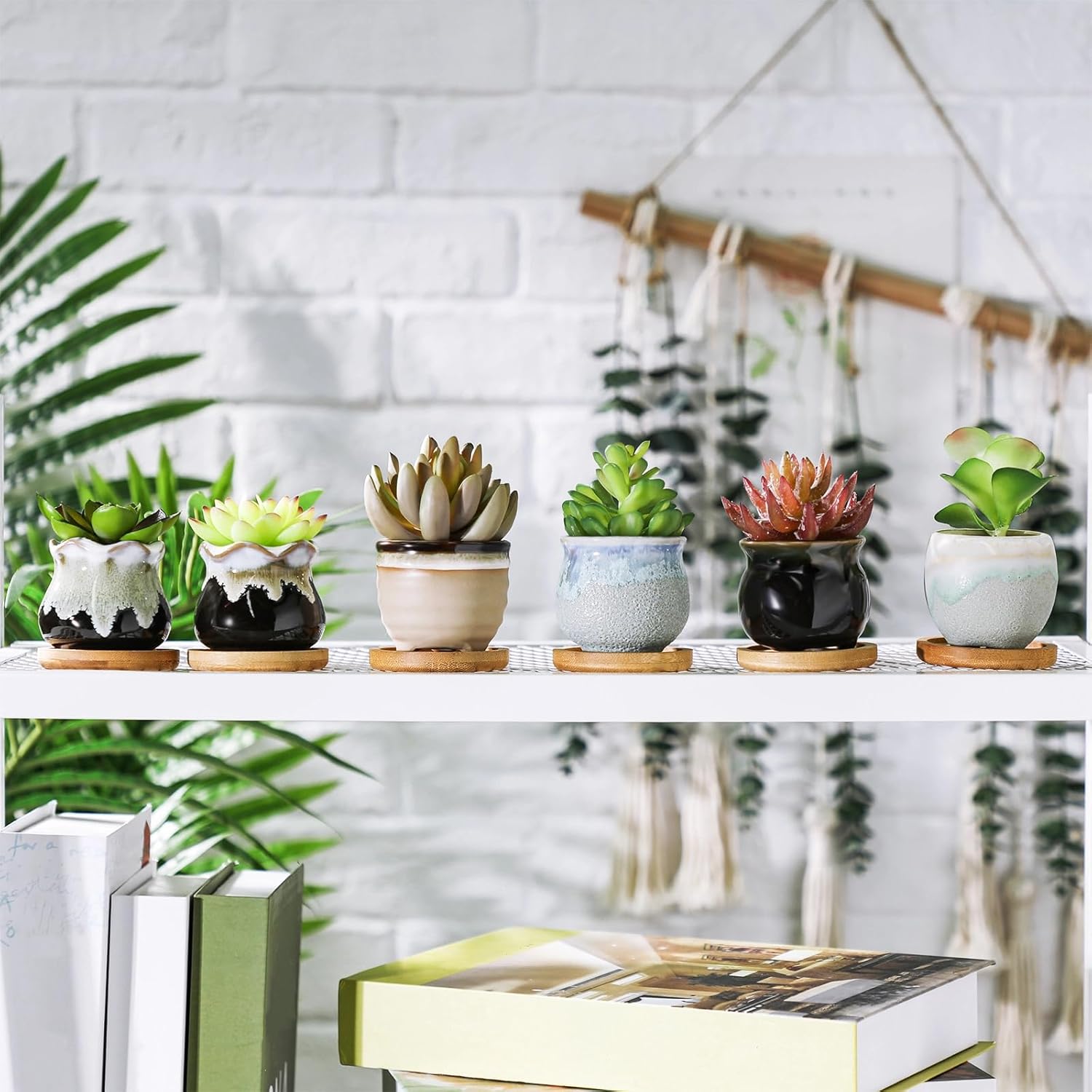 Remerry 24 Pcs Small Succulent Pots Bulk with Drainage Assorted 2.5 Inch Mini Ceramic Succulent Planters Pot with Coaster Bamboo Plant Tray Planting Pots for Home Office Garden (Rich Color)