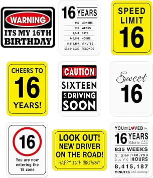 WERNNSAI 16th Birthday Party Decorations - 9PCS Happy 16 Years Old Birthday Party Decor Wall Signs Funny Tags for Teenagers Boys Girls 16th Party Door Wall Windows Garden Yard Signs Picture Props
